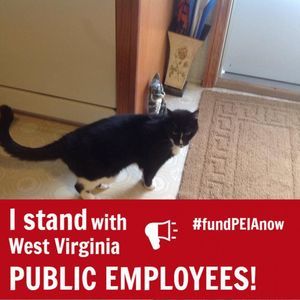 Meet your Posher, Betty